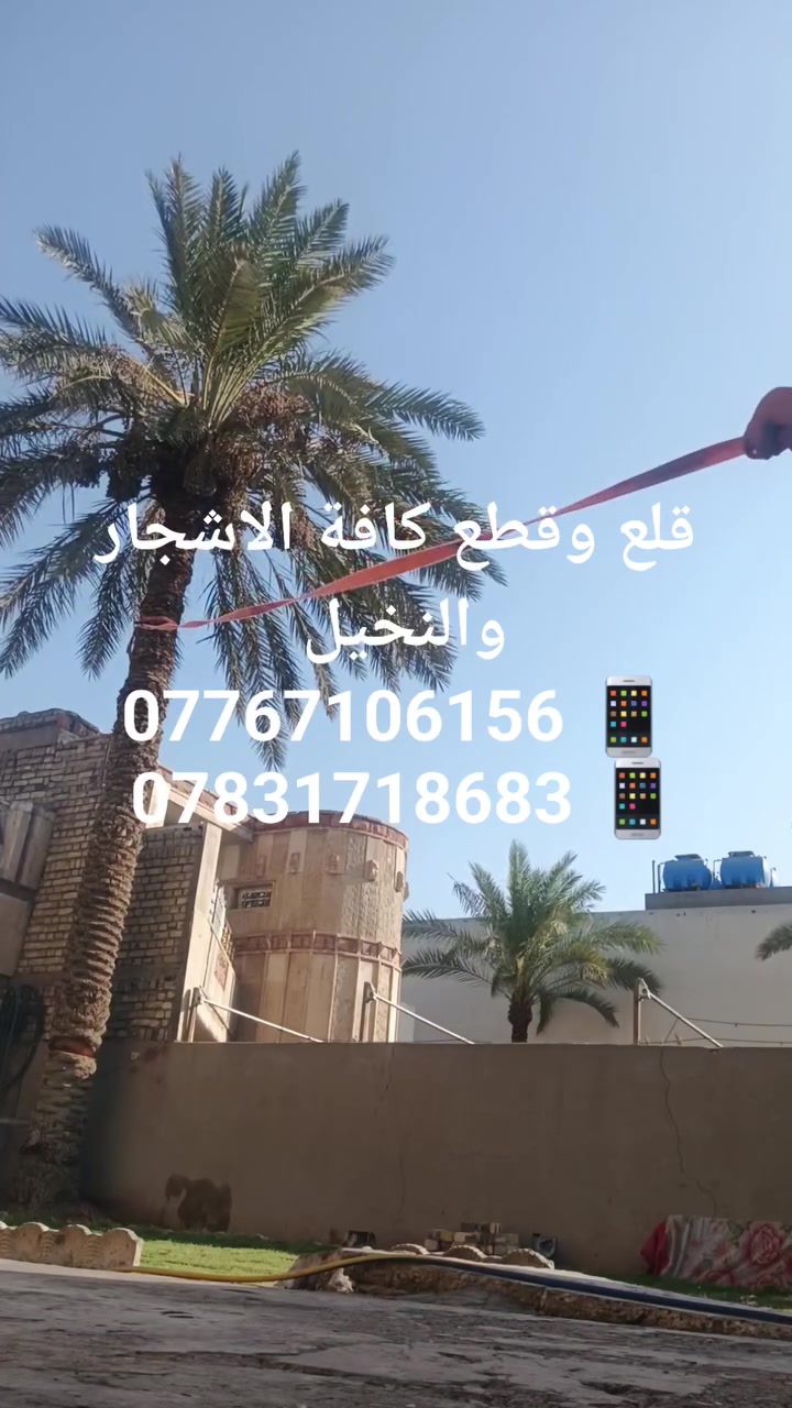 قلع وقطع كافة الاشجار والنخيل 
📱 ***********
📱 ***********
