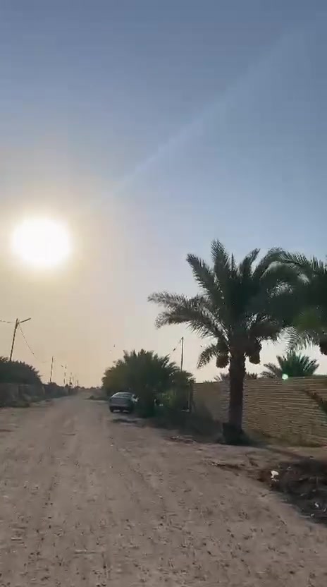 السلام عليكم قطعه أرض زراعيه مزوعه 10نخلات برحيه مع تينات 10مع تنكيات ماء مع كهرباء  مع ماء اساله مع كرفان صغير مساحه نص دون الوجيه ١٨ م والطوال ٦٦ونص العنوان الديوانية طريق الدغاره نزاله نبي الله شعيب اتصل ع الارقام *********** سند ٢٥ بسمي
