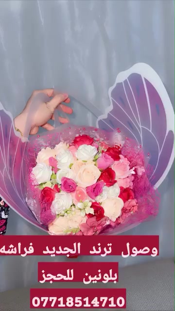 وصول فراشه للحجز راسلو الصفحه
