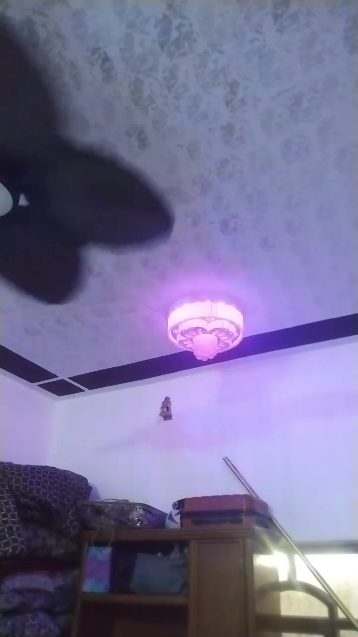 سبلت اوكس  اخو الجديد ب٥٥٠
ثريات زوج بلوتوث ولد سبع ألوان واناره ٣ ألوان ب٩٠
بنكه خمس ريش عريضه ب٩٠ وبيها مجال الأسعار للإستفسار الاتصال على الرقم *********** او مراسله عل الخاص
