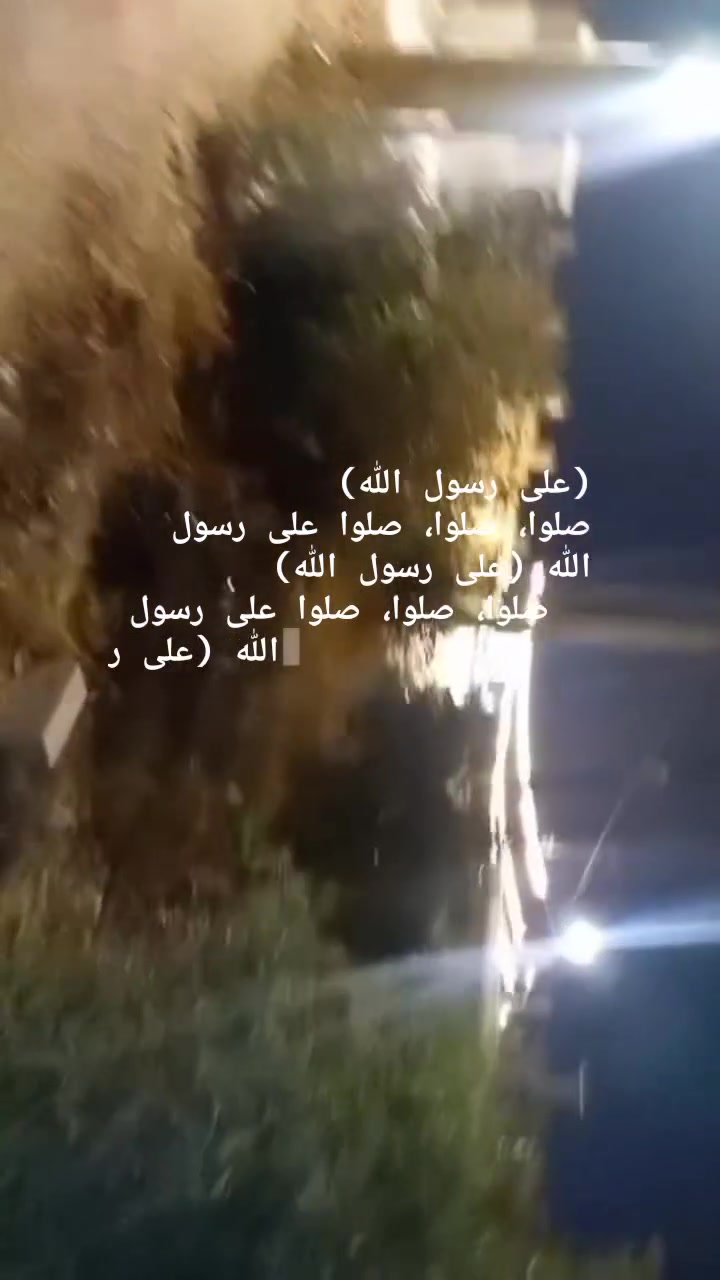 الرمثا طريق ابو البصل • ارض مش مفروزات • شجر زيتون