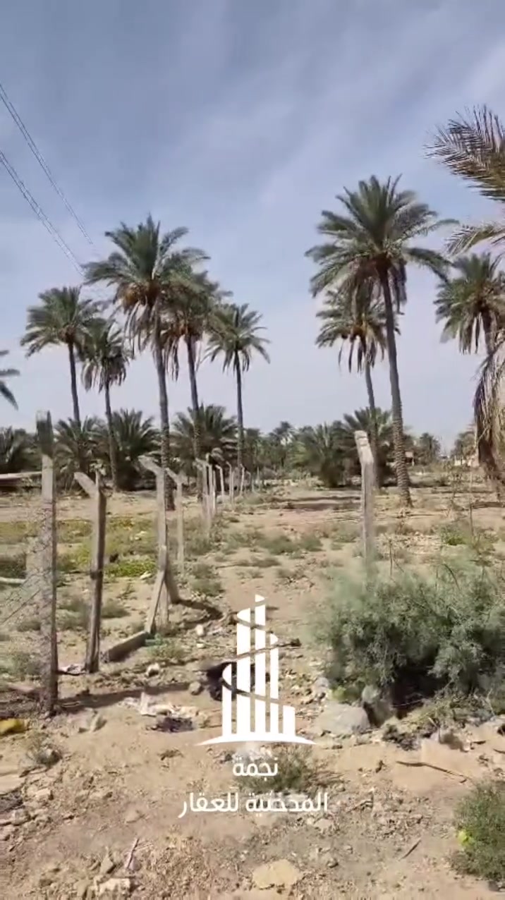 طابو زراعي • سند ٢٥ • ٢٠٠م