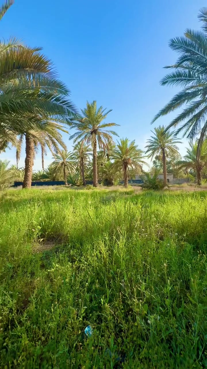 السلام عليكم 
قطعة ارض بستان للبيع مساحه ٣ دونم 
يحتوي الدونم على بيت قديم واكثر من ٦٠ نخله وبئر ماء وخط اساله خدمات كامله من تبليط وكهرباء 

المكان تقاطع النهروان قريه 8 النزله الاولى للتواصل ***********

