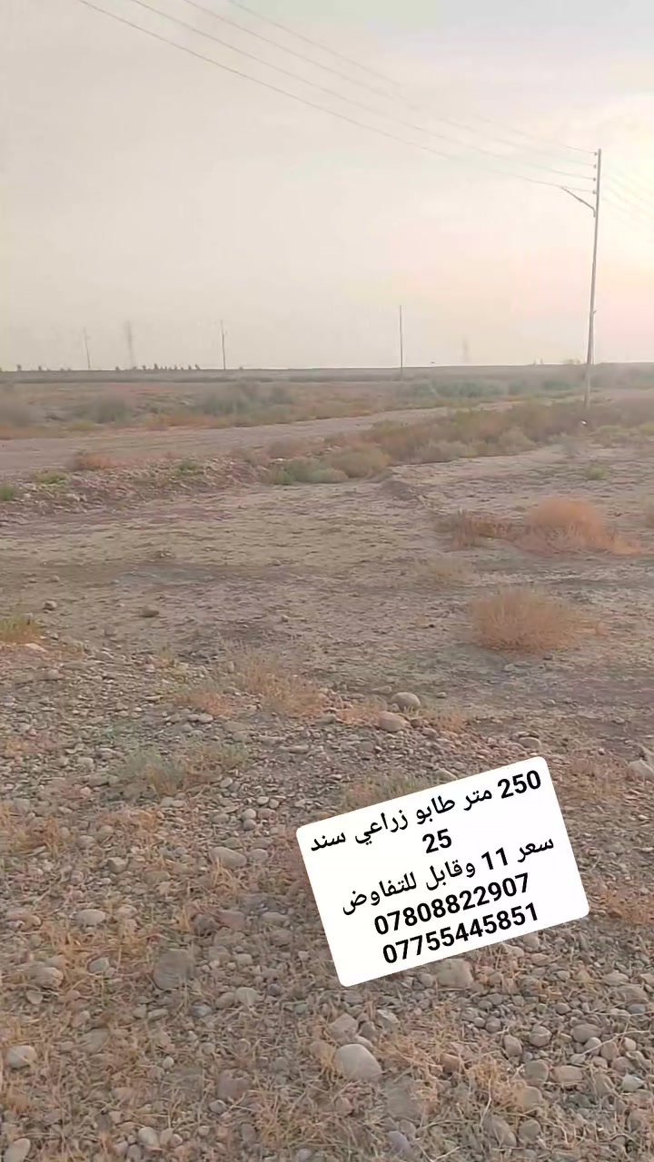 لا توجد تفاصيل
