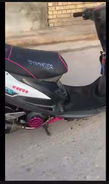 ماكس • ناشفه • شعب