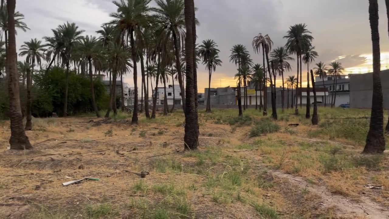 بستان • ٥دونم • كويجة باغ