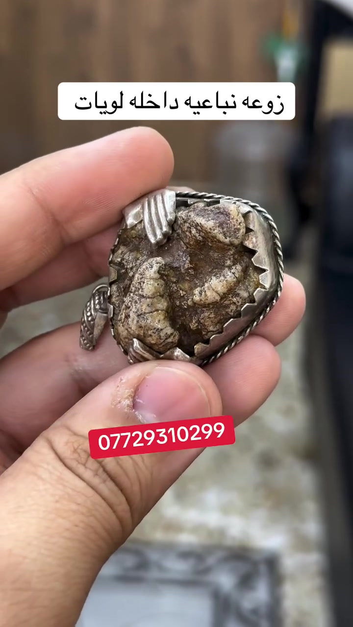 السلام عليكم / مكالد زواعات وخواتم للبيع كل قطعه اله سعر يوجد توصيل لجميع المحافضات
***********
