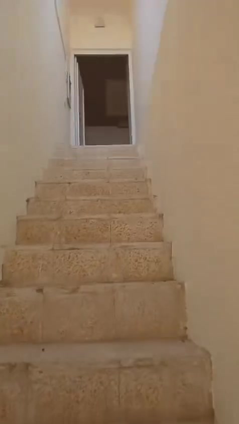 شقه للايجار مزارع زيونه يم يم شارع عام مال فلاح يم ملعب موقع مميز يم شارع عام
تتكون الشقه من مطبخ وهول وغرفة نوم وصحيات 
سعر الايجار 250 الف
لتواصل ***********

