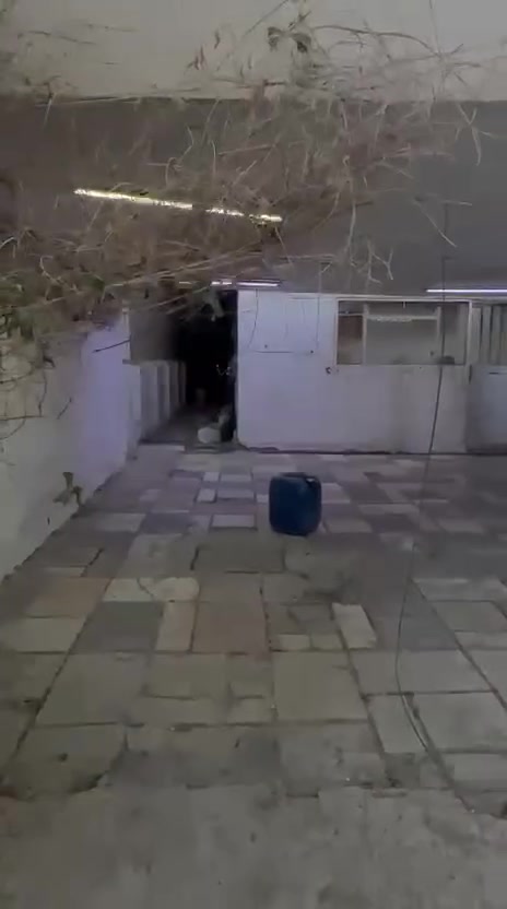 بيت للايجار في المنصور الداودي قرب مدرسة الخلود كلشي واضح بالفديو الإيجار مناسب جدا للاستفسار واتساب ***********
