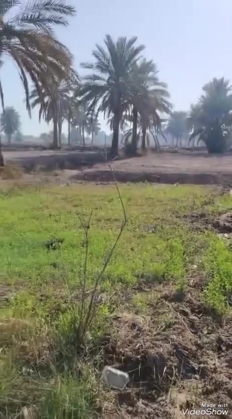 الإمام عون يم سيداحمد • ١١ دونم ونص • مياه وكهرباء