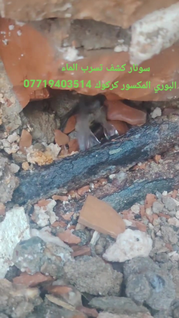 سونار كشف تسرب الماء والبوري المكسور في كركوك

كشف تسرب الماء
كشف البوري المكسور
كشف مصدر الرطوبة
تحديد مكان التسرب بدون تكسير عشوائي

كركوك وضواحيها

***********
***********
سونار بوري مكسور في كركوك 
سونار كشف تسرب الماء في كركوك
