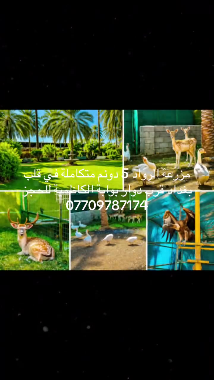 🌿✨ مزرعة الرواد | راحتك يمنا بتميّز ✨🌿

🏡 مزرعة الرواد للإيجار اليومي في قلب بغداد
📍 خلف بانزين خانة سما الكاظمية – مدخل منطقة الرواد
🚗 تبعد عن الشارع الرئيسي 800 متر فقط

🌳 مساحة 5 دونم من الطبيعة والخصوصية، وكل ما تحتاجه العائلة في مكان واحد:

🏊‍♂️ مسبحان
🐎🐓 حيوانات متنوعة
🌴 بستان مشجّر وأشجار نخيل
🌿 حدائق خضراء واسعة
🎠 ألعاب للأطفال والكبار
🎱 فيشة وبليارد
🍳 مطبخ مجهز
🔥 مكان خاص للشواء
🛣️ شوارع مبلطة
📶 إنترنت
🎧 دي جي
⚡ كهرباء 24 ساعة
🔐 خصوصية وأمان واستجمام

👨‍👩‍👧‍👦 مكان مثالي للعوائل، التجمعات والمناسبات
💚 كل تفاصيل الراحة موجودة… وأنتم عليكم الاستمتاع فقط!

📞 للحجز والاستفسار:
***********

⭐ مزرعة الرواد موثّقة على تطبيق أجرلي

🌿 مزرعة الرواد… راحتك يمنا بتميّز 🌿
