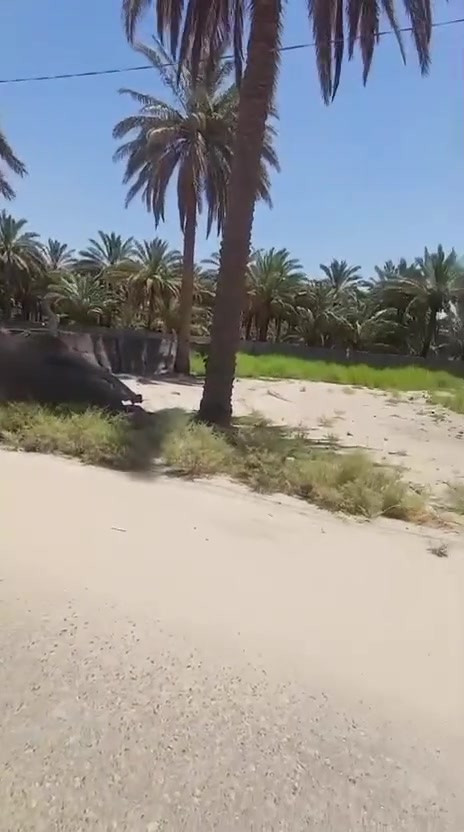 بسواده رشديه • ٥٠٠م • طابون سند ٢٠٢٥