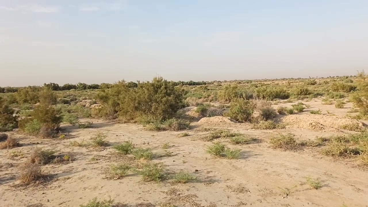 الديوانية الشافعية • ٧٣دونم • ماء سقي