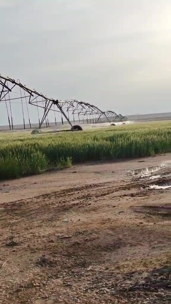 سلام عليكم مزرعه للبيع مساحة ٧٠٠ دونم
جاهز اجازة استثمارية
بيها ثلاث مرشات 2×80دونم
واحدة×110دونم 
ثلاث ابار
+ مولدات عدد اثنين كمنز
الموقع كربلاء كهوف الطار خلف قرية الزكاريط
للاستفسار ***********
