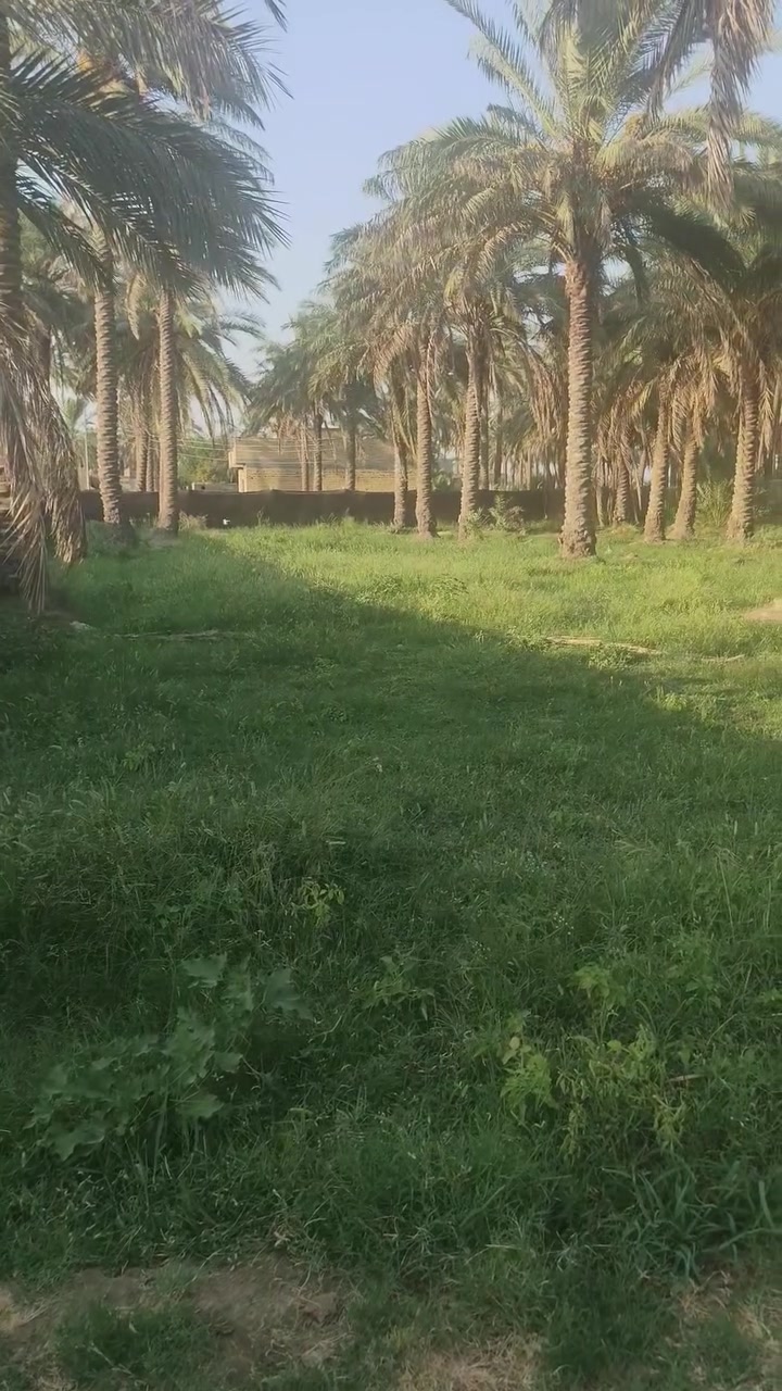 سلام عليكم للبيع قطع سكنيه في بابل المدحتيه طابو صرف خدمات كامله من ماء اساله من كهرباء يبعد طريق العام 400/ متر  مساحه /600/ او/ 300/ 200 استفسار ***********
