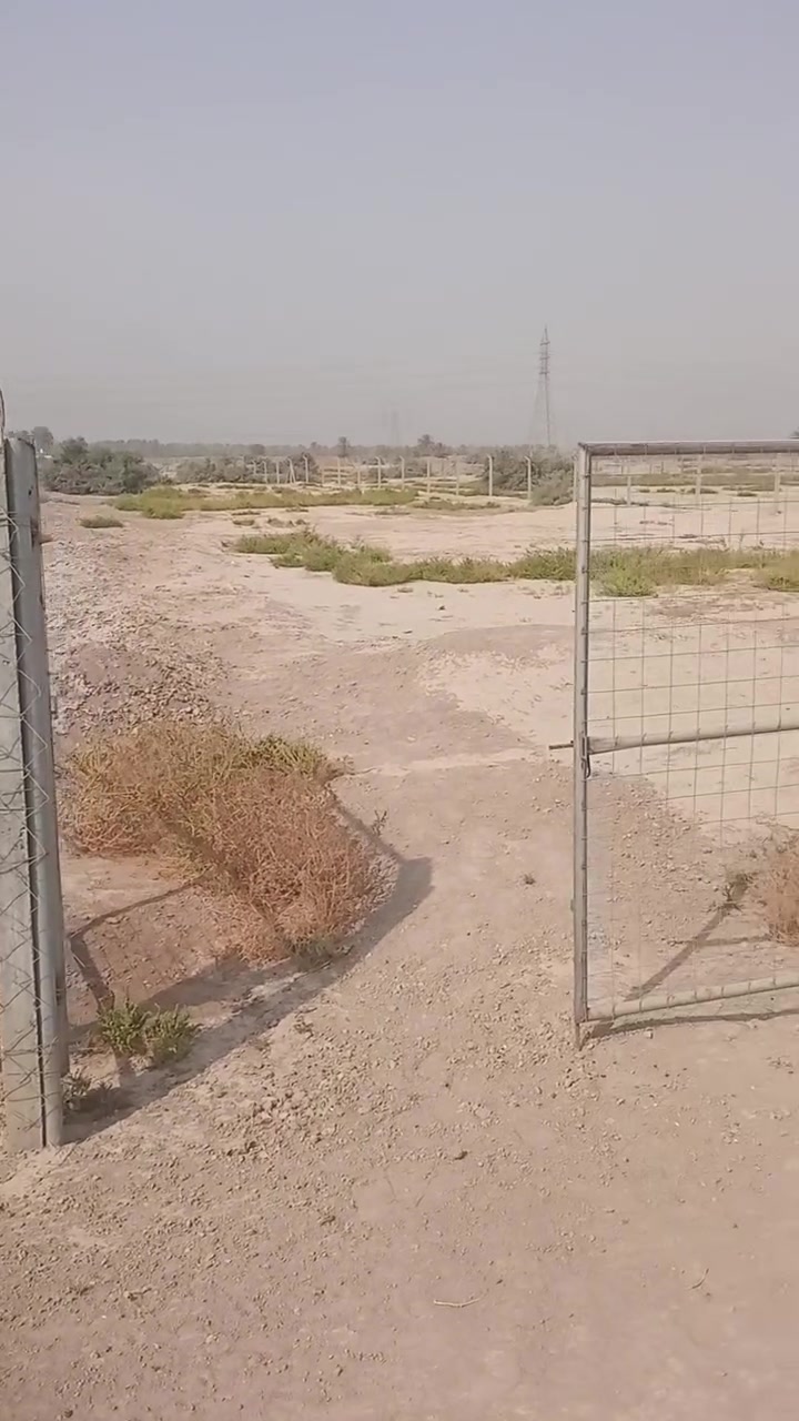 ٢دونم • طابو زراعي • بزل حجي علي