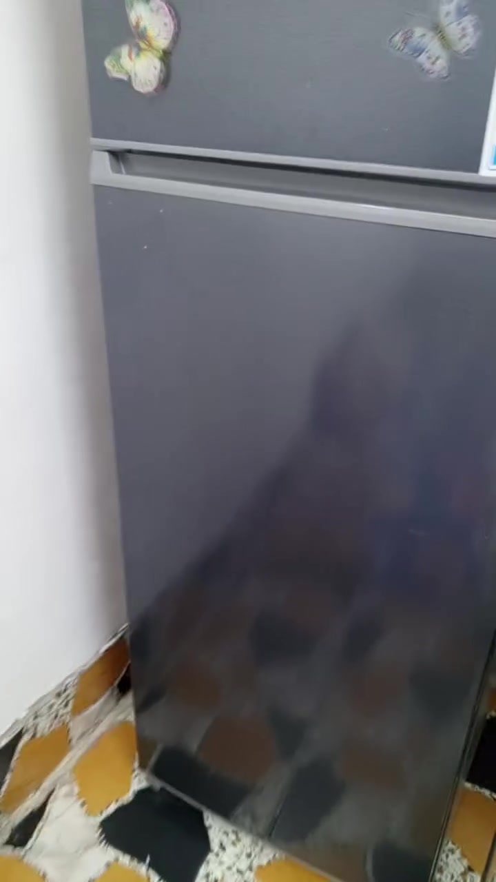 ثلاجة نضافتهه 90بل 100
‏‪***********‬‏
‏‪

سعر 300
