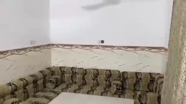 بيت للبيع في حي الجهاد خلف المعارض مساحة لبيت ١٥٠ بناء جديد طابو زراعي سند ٢٥ يتكون من طرمه وحديقه صغيره وأستقبال و غرفة وصالة و مطبخ وصحيات داخليه وخارجية بناء طابوق لبيت جاهز من مجاري ومي وكهرباء لسكف صب كون كريت للتواصل ***********
