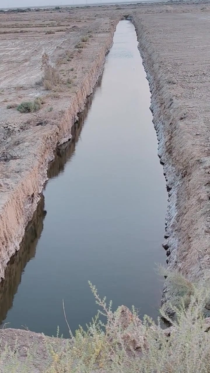 السلام عليكم
أرض للبيع مساحتها ١٢ دونم 
الواجه ١٢٠م × النزال ٢٨٠م
سوق الشيوخ نزلت الاساله طريق الخميسية قرب الدواجن
للاستفسار التواصل على الرقم التالي 
***********
