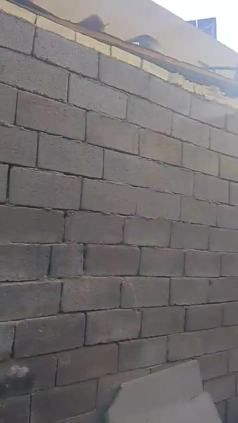 كيا • شبوط • المعالف تقاطع الربيعي