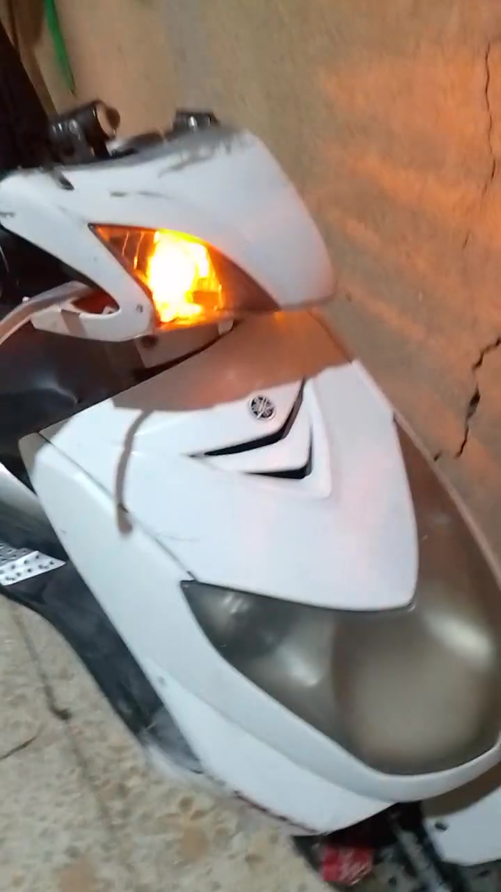سكنس فحل • نكرة • سلف