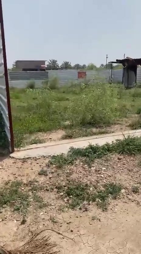 سلام عليكم خوان قطعة أرض مساحتها 300متر ملك طابو صرف سند25عنوان بغداد مدائن قرب شارع سيد علي رقم الهاتف ***********
