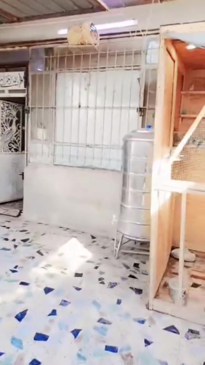 🏠 للبيع بيت  أمانة مصفر – مساحة 200 متر
📍 الموقع المميز: الولداية الثانية، شارع أسواق الفراشة، ثاني فرع من الشارع العام.
📏 الفرع: 15 متر، وموقع البيت حلو ومرتب.

✨ تفاصيل البيت:
🔹 حوش
🔹 استقبال
🔹 مطبخ
🔹 صالة واسعة
🔹 منورين عدد 2
🔹 غرف نوم عدد 2
🔹 بيتونة
🔹 ستارة
🔹 البناء كله بلوك
🔹 البيت مبيّض بالكامل
🔹 الأرضيات كلها سراميك

📐 المساحة: 200 متر

📞 للاستفسار: ***********
🌹 للجادين فقط، البيت يستحق المشاهدة.
