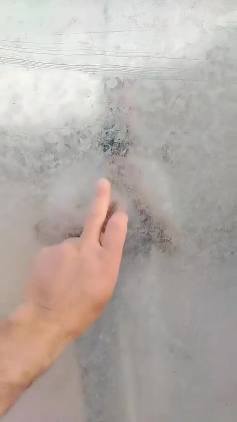 السلام عليكم
يوجد حديد للبيع بليت ثقيل سعره مناسب ***********
