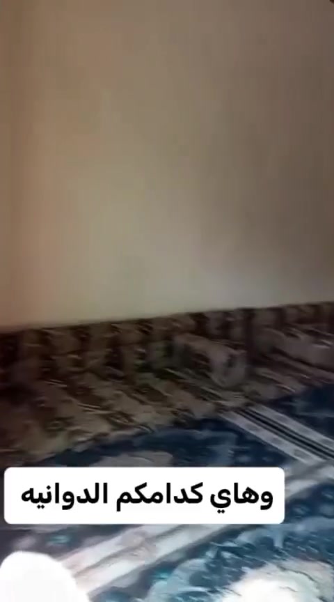 الفداء الجسر الهولندي • ٢٥٠م • ٢ غرف نوم