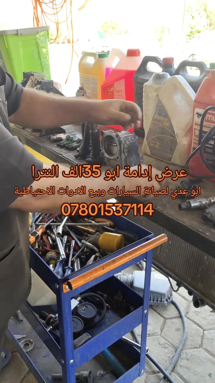 @الجميع @أبرز المعجبين Muse @الجميع
