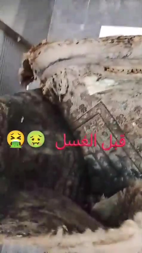 سلام عليكم 
غسل فرشات ومفروشات لمتر مربع بالف 
غسل بطانية نفرواحد 2ونص 
غسل لحاف نفر واحد 2ونص
غسل بطانية نفرين  5
غسل لحاف او نزلة نفرين5
غسل تخم لمقعد 5
لكمية بيهة مجال 
+تغليف وتعطير وتوصيل #مجاني
لمناطق لمشمولة 
بسماية 
جسر ديالى
الزعفرانية
ناحية الوحدة 
لوردية 
سلمان باك 
***********
***********
