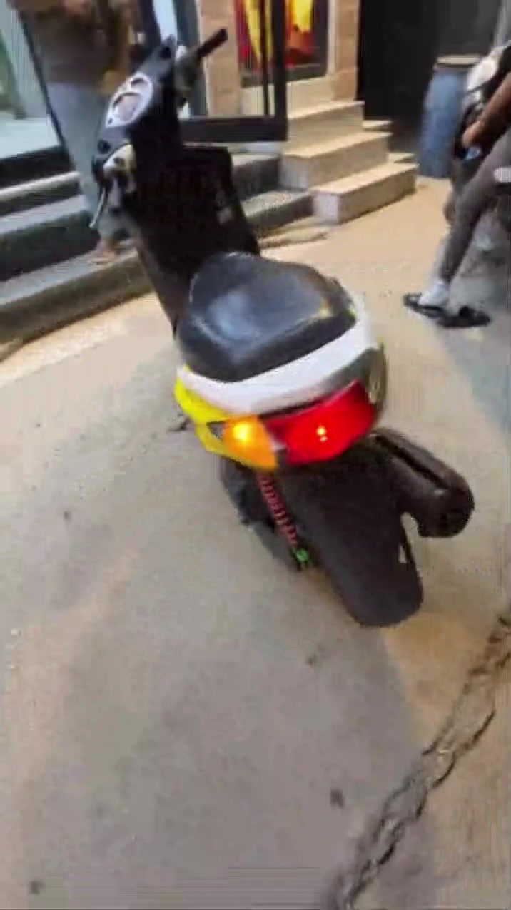 سكنس فحل • كابريتر • مامفتوحه