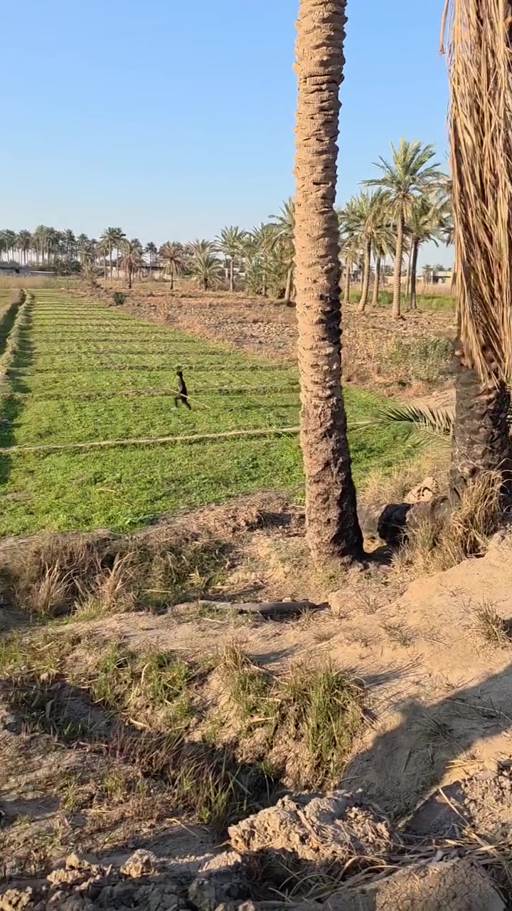 ياالله  بسبب الوعود الكاذبة 
ارض زراعية مساحتها دونم اله 600 م مكانها الفلوجه الشهابي مقاطعه 13 خلف معمل السمنت قريبه على مجمع الماسه سندها 25  يم الكنطره الزركه سعرهه 15 وبيهه مجال بسيط 
الشراي يراسل الصفحه ترهم قسط بمقدمه الفخر للتطوير العقاري
