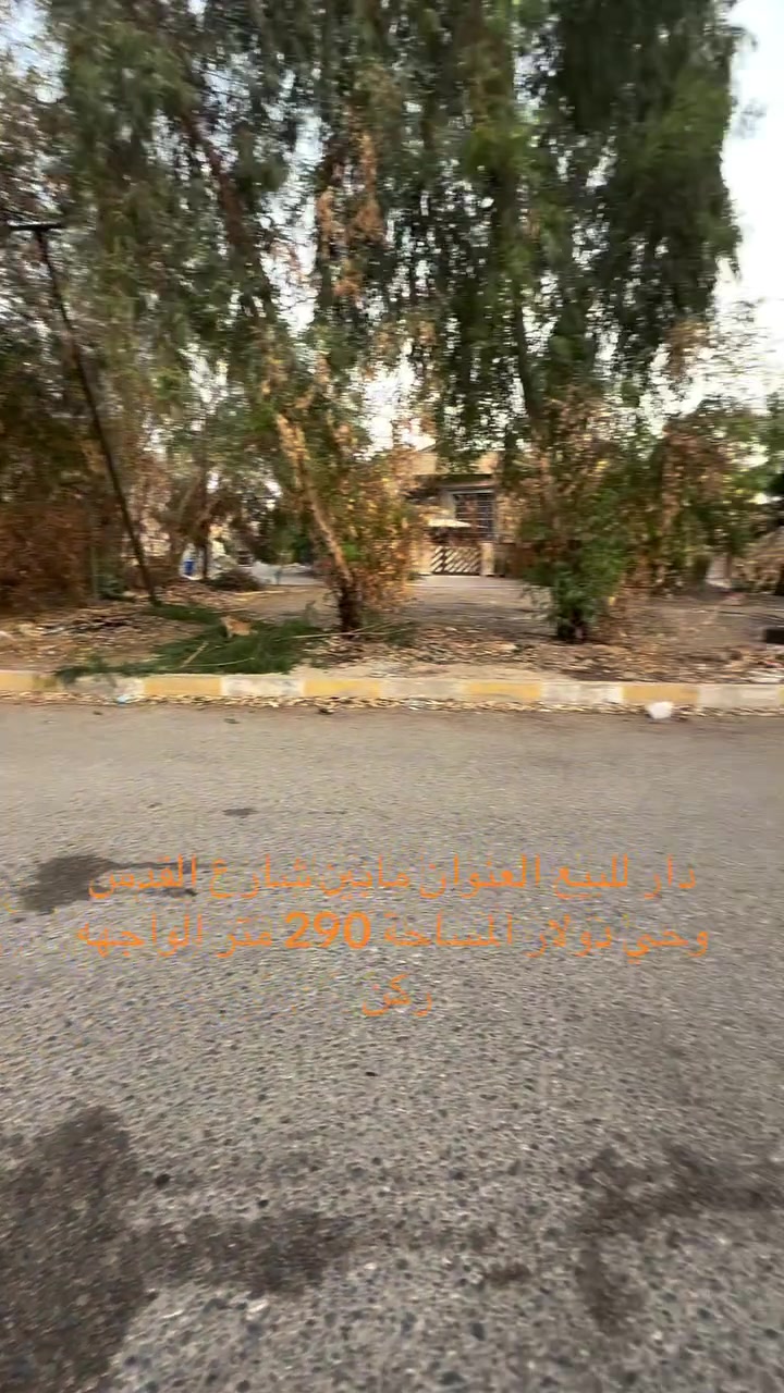 دار • ٢٩٠م • حي دولار