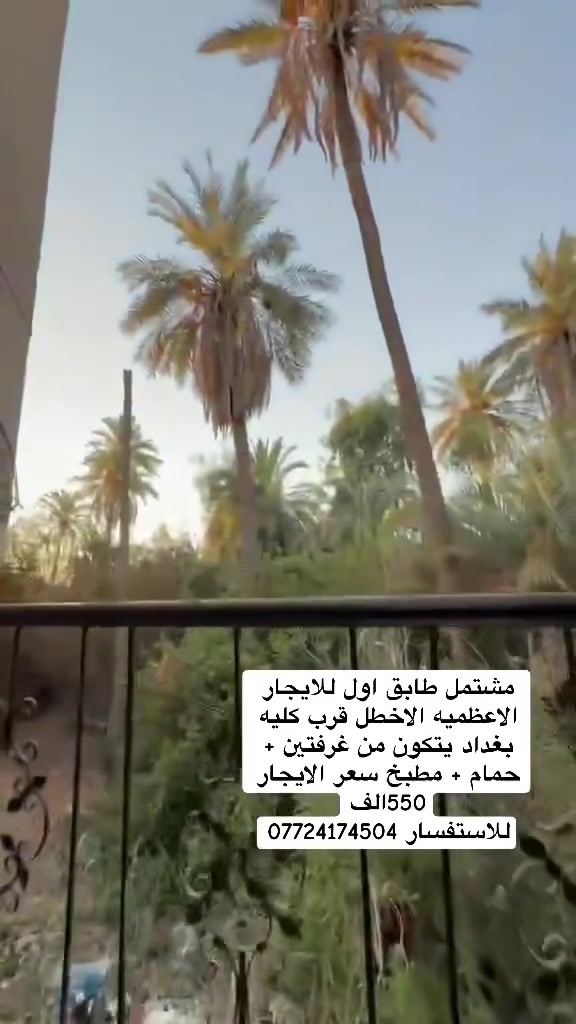 للاستفسار ***********
