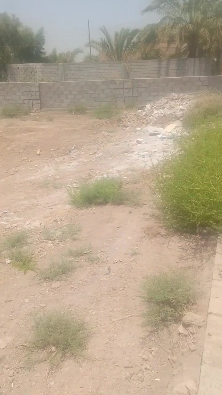 السلام عليكم 3قطع زراعيه مجمع محمد الحجي ركن بدايه الشارع كل قطعه مساحه ،147متر نزال 20واجهه 7.30
السكلات خلف جامع الصديق مجمع محمد الحجي جاهزه ماء وكهرباء وتبليط 
السعر 28وبي مجال قليل 
***********
