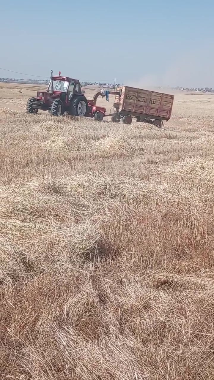 فيات • كركوك قضاء الدبس • مكفول