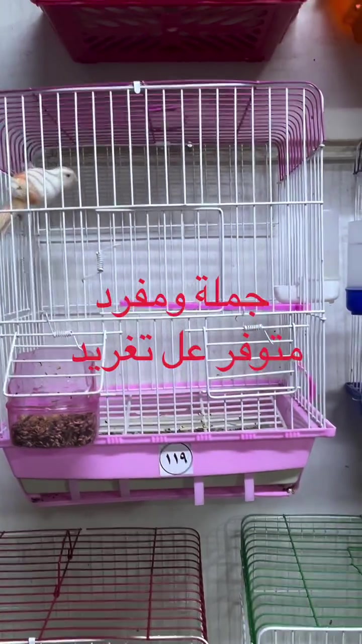 بغداد الجديدة • كيتار • تعال اسمع
