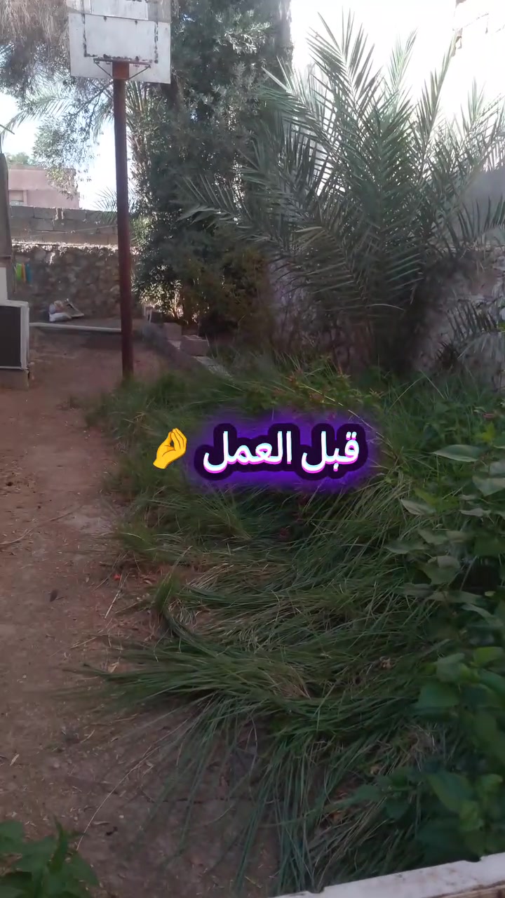 تنظيف حديقة • تقليم أشجار • تبديل تراب