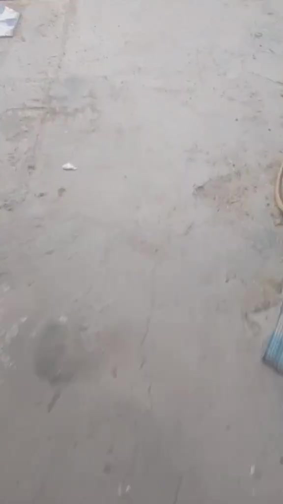 @إشارة 
بيت للبيع في بابل الاسكندريه الاسكان الاولى طابقين بي اربع غرف نوم وهول وصحيات خارجيه ومطبخ البيت يحتاج ترميم بسيط لبخ وصبغ فقط يرهم مراوس بيت بسكندريه او حصوه حتلو زراعي 
للاستفسار الاتصال على الرقم 
***********
