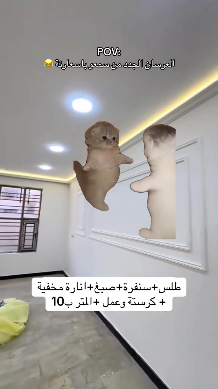 ار مناسبة جداً جدا 😍
العمل داخل ميسان فقط📍
الاستفسار خاص (***********) 
سعر المتر 10 الاف دينار عراقي 😍
يشمل (طلس جدران بمادة الستن التركي🇹🇷+سنفرة الجدران للتنعيم+صبغ الجدران من شركة (BY) المميزة +كورنيش انارة بوركس مع النشرة 😍
اتحدة اي شخص ياخذ بهيج سعر 
كل هلجمال والدلال بس سعر المتر 10 دينار عراقي كرستة وعمل ومواد 🤭
