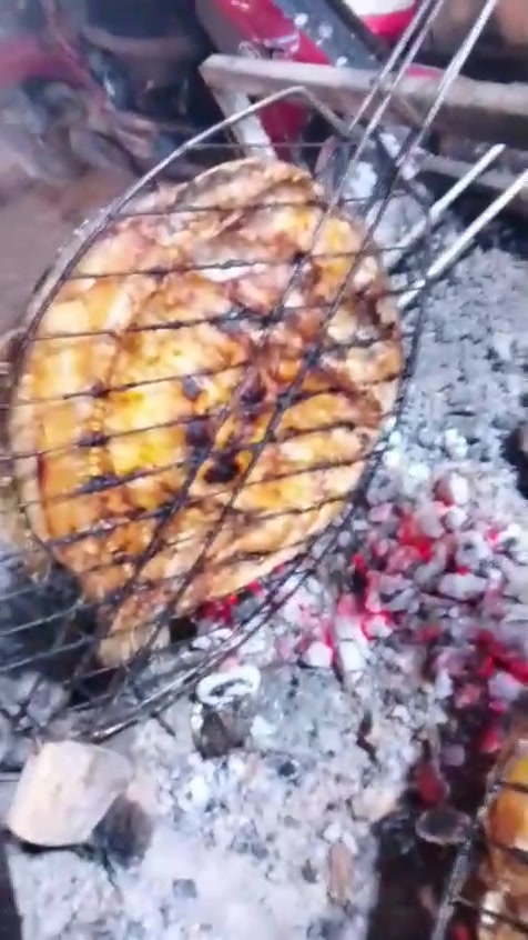 مسكوف • سمج • السريدات الخفاجات