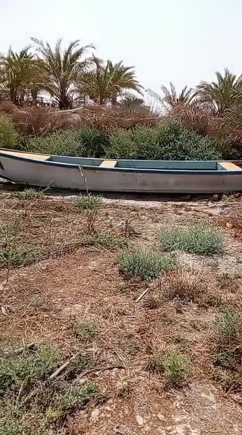 تفاصيل داخل المقطع
سعر 1750 وبيه مجال بسيط للعلم مع مكينه 25 مارينه مكفوله
مكاني البصره الهارثه المسحب 
***********
