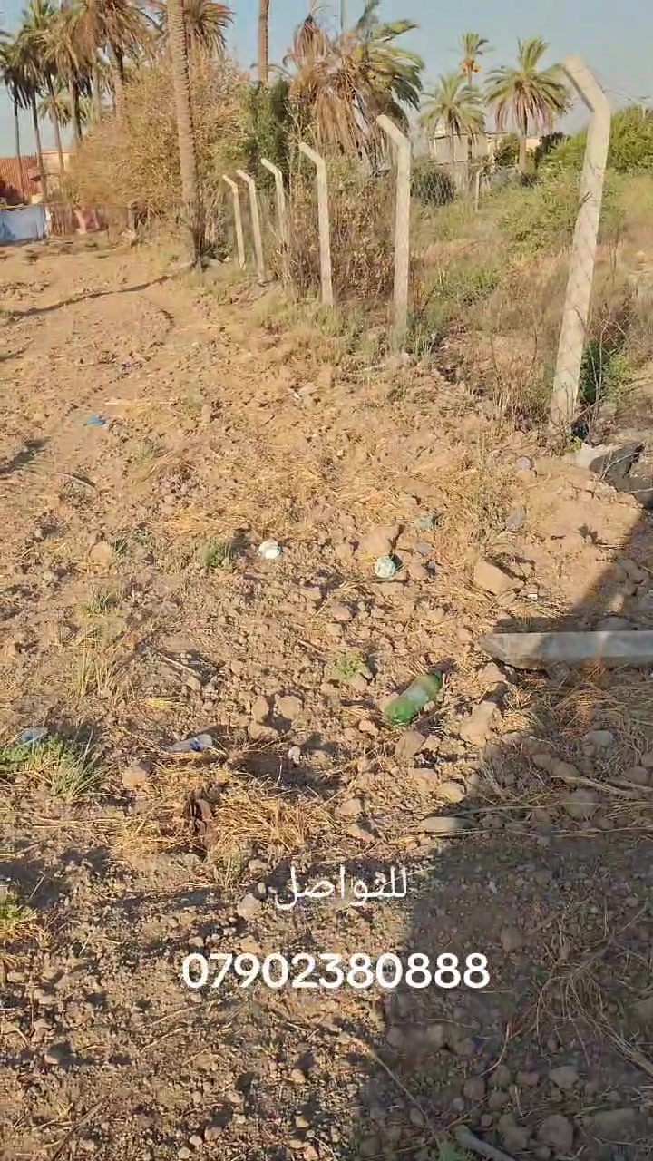 قطعة أرض زراعي طابو صرف مملوكه حق التصرف ٣٢٢ متر واجه ٥.٥٥ متر نزال ٥٨ ركن على شارعين العنوان الدوره عرب جبور بداية مجمع الزمرد للبيع
السعر المطلوب ٩٥ مليون قابل للتفاوض
شنو وضع الخدمات يمها أو قريب منها: ماء، كهرباء، مجاري/شارع معبد؟: 
كهرباء ماء تبليط على شارعين
هل أكو أي ملاحظات على السند أو القيود القانونية، لو الطابو الصرف جاهز للتنازل مباشرة؟: 
جاهز للتنازل
هل البيع كاش فقط لو تقبلون تقسيط/دفعة مقدمة، وشنو أقل سعر ممكن توصله؟: 
كاش فقط