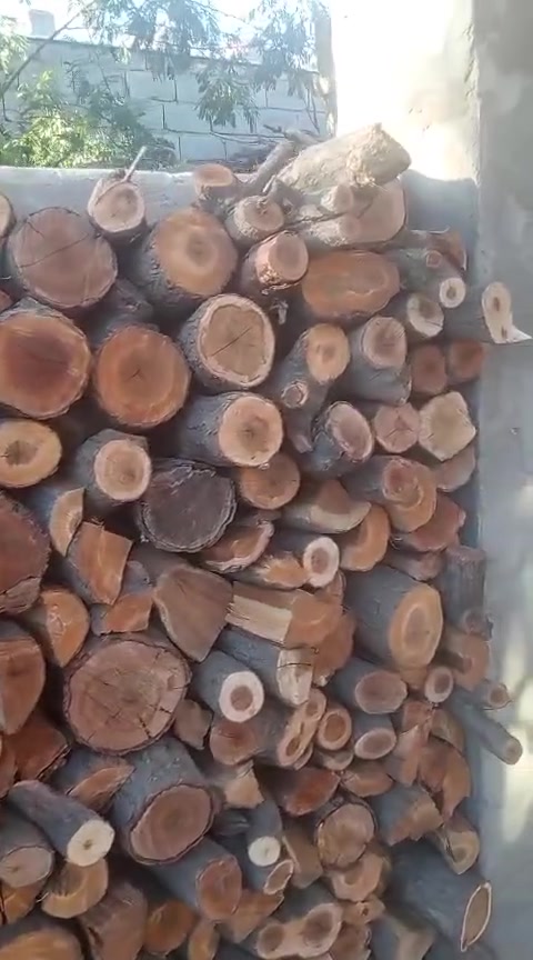 حطب • فيديو • كربلاء حي العامل