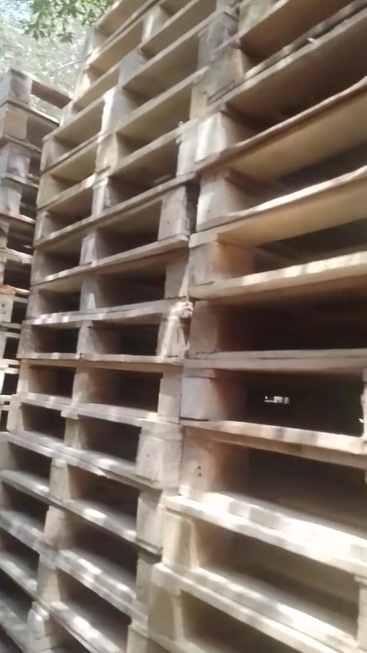 اسكيب جديد ثقيل العدد 250 / العنوان الدوره / قياس 120/100 /  ***********
