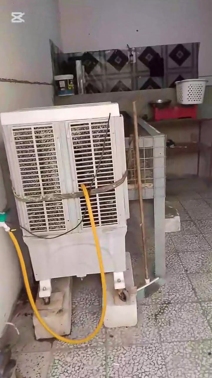 غراض دجاج للبيع شراي تصل ***********
