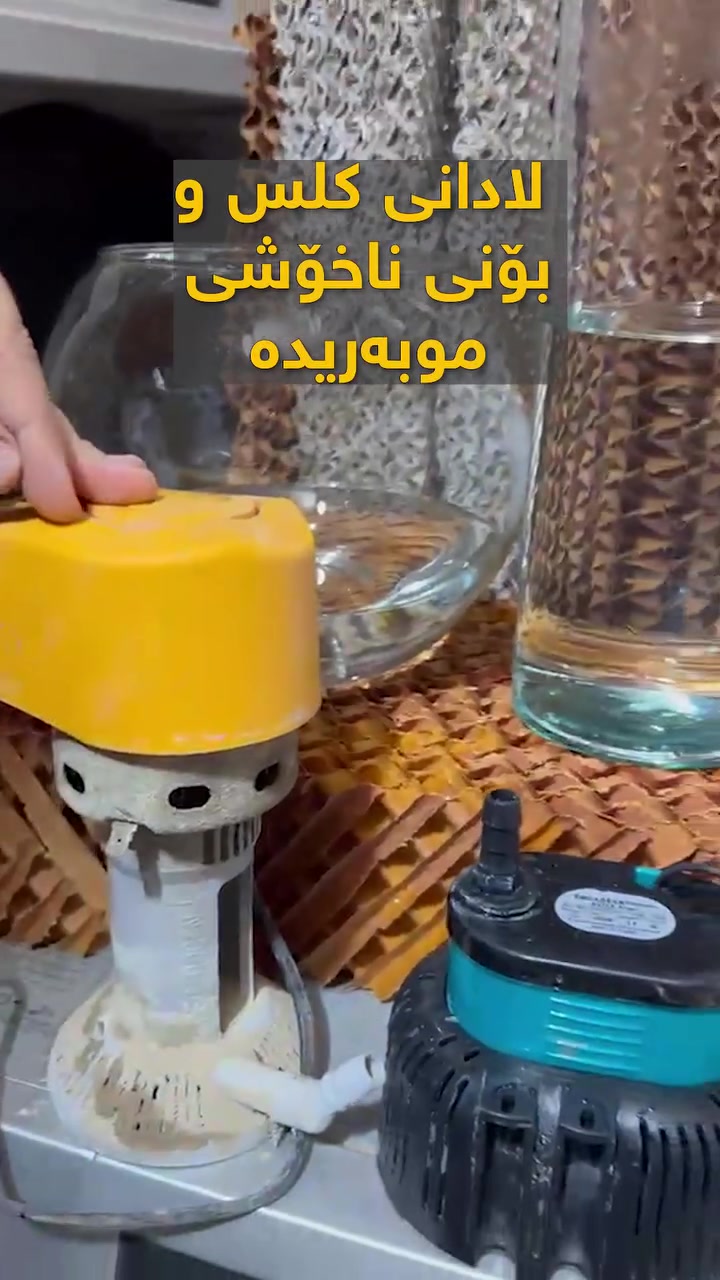 باشترین پاک کەرەوەی موبەریدە ئەگەر موبەریدەکەت زۆر پیس بوو یان زۆر گەورە بوو پێویستە دوو دانە بەکاربێنی  دوو سەعات و نیو پێویستە موبەریدەکەت کار بکات دوای ئاوە پیسەکە پێویستە بەتەواوی فڕێ بدەی ئاوی پاک بەکاربێنی 
تێبینی: پێویستە موبەریدەکەت نیوەی ئاو بێ ئاوی بۆ نەکرابێتەوە ئاوی پاکی تێبکەو بەکارێ بێنە.
***********
***********
#کلس #پیسی #موبەریدە #پاکی #فێنک #موبەریدەی
