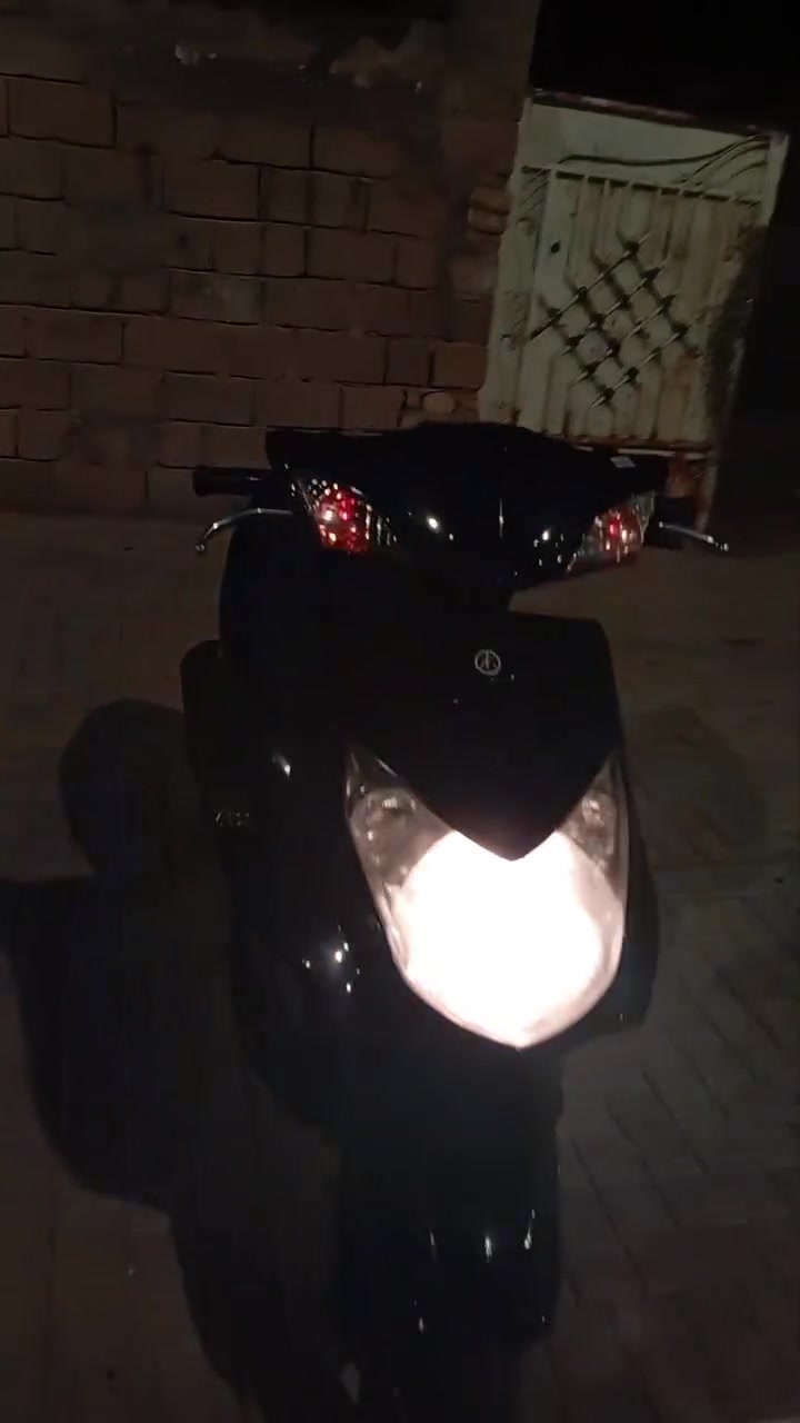 سكنس فحل • ياباني • مجال